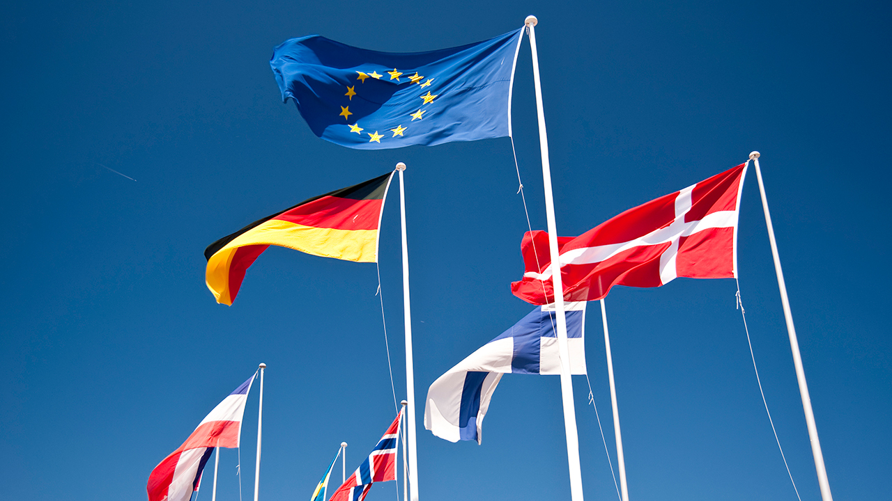 Flag of EU and some of its member countries flags.