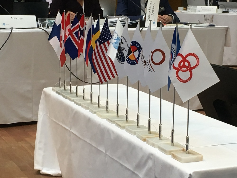 : The Arctic Council comprises eight countries and six indigenous organisations. 
