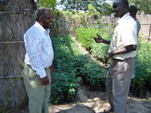 I plantskolan växer trädplantor. Sudan. Foto: Jörn Laxén.