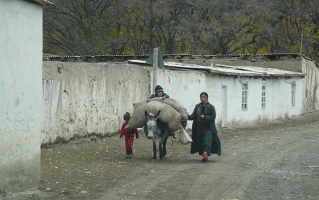 Kirgisialainen kylänraitti. Kuva: DFID - UK Department for International Development, flickr.com, ccby2.0