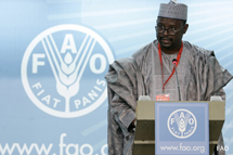 Nigerian maatalousministeri Sayyadi Abba Ruma ruokahuippukokouksessa. Kuva ©FAO/Alessandra Benedetti