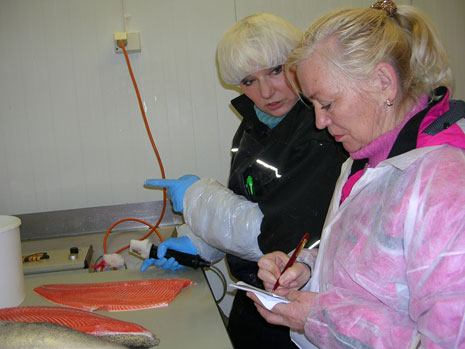 Fair Fish Processing -yrityksen Marakhaba Shafigulina haastattelee Kuopion kalatuotteen kalankäsittelijää. Kuva: Sirpa Rajasärkkä