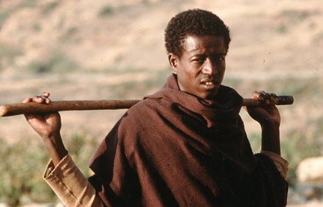 Etiopialaispaimen. Kuva: Kari Rissa