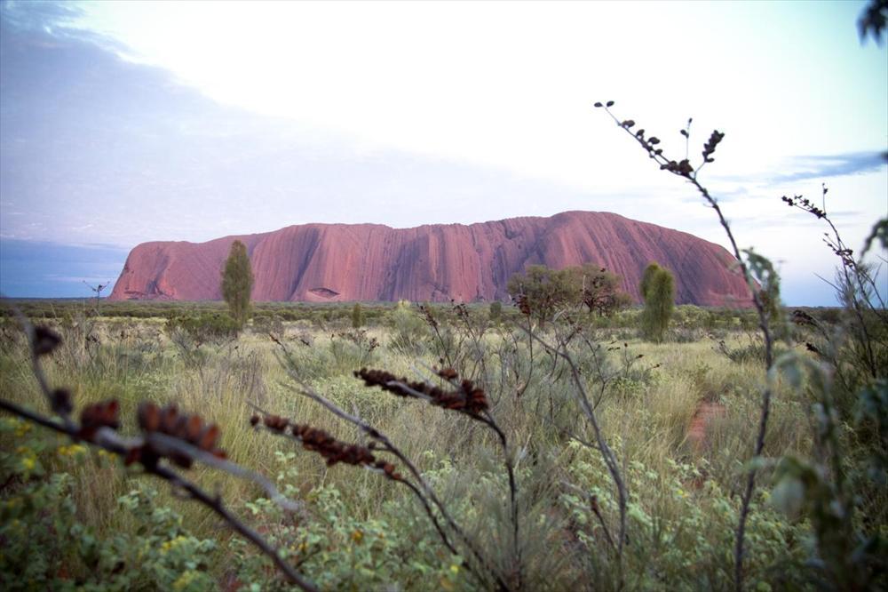 Australian uniikki luonto houkuttelee vuosittain miljoonia turisteja maahan.
