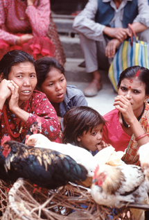 Nepalilaisia naisia, kuva: Martti Lintunen