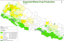 WFP, kartta vehnäntuotannosta Nepalissa. 