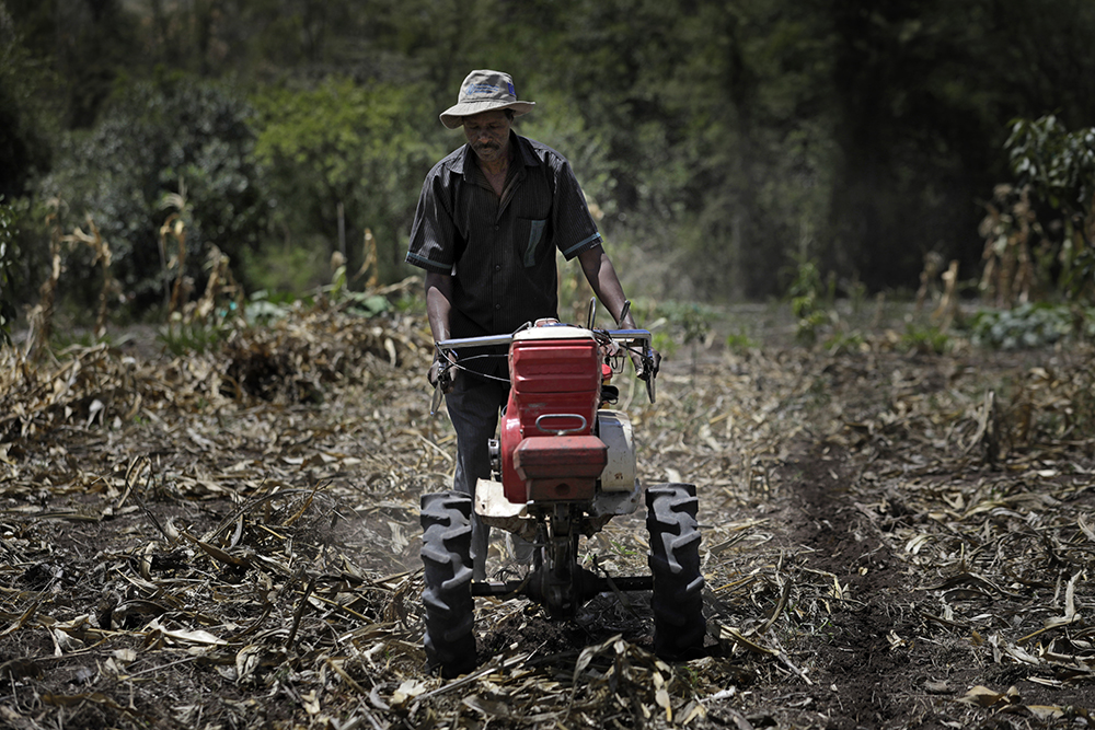 Farmer plowing a field