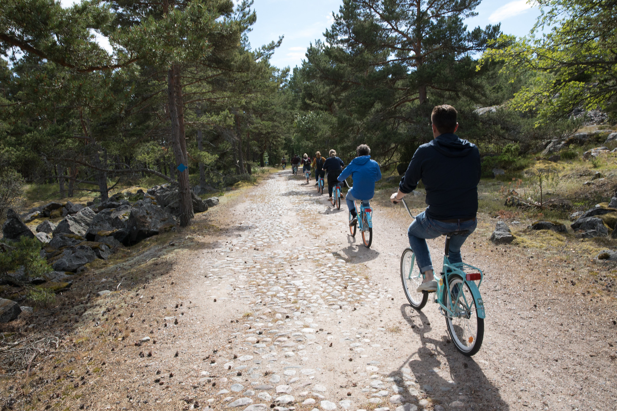 Cyclists on a forest path.