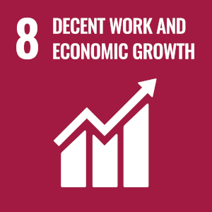 UN Sustainable Development Goal 8: Decent work and economic growth