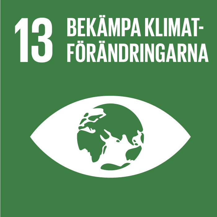 Det globala målet 13: Bekämpa klimatförandringarna
