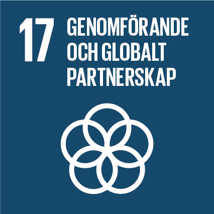 Det globala målet 17: Genomförande och globalt partnerskap
