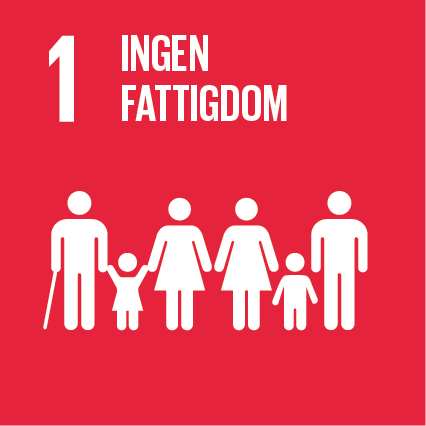 Det globala målet 1: Ingen fattigdom