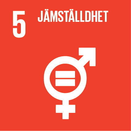 Det globala målet 5: Jämställdhet